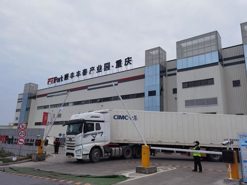 巴南嚴把倉儲物流源頭關 筑牢進口冷鏈食品檢測防線